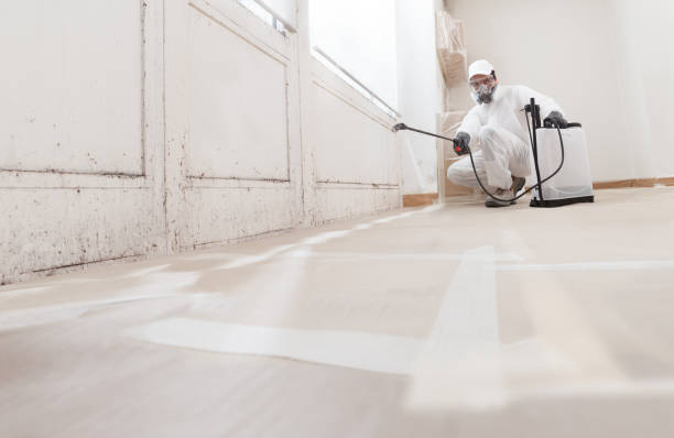 24/7 Emergency Black Mold Remediation experts in Gillette, NJ
